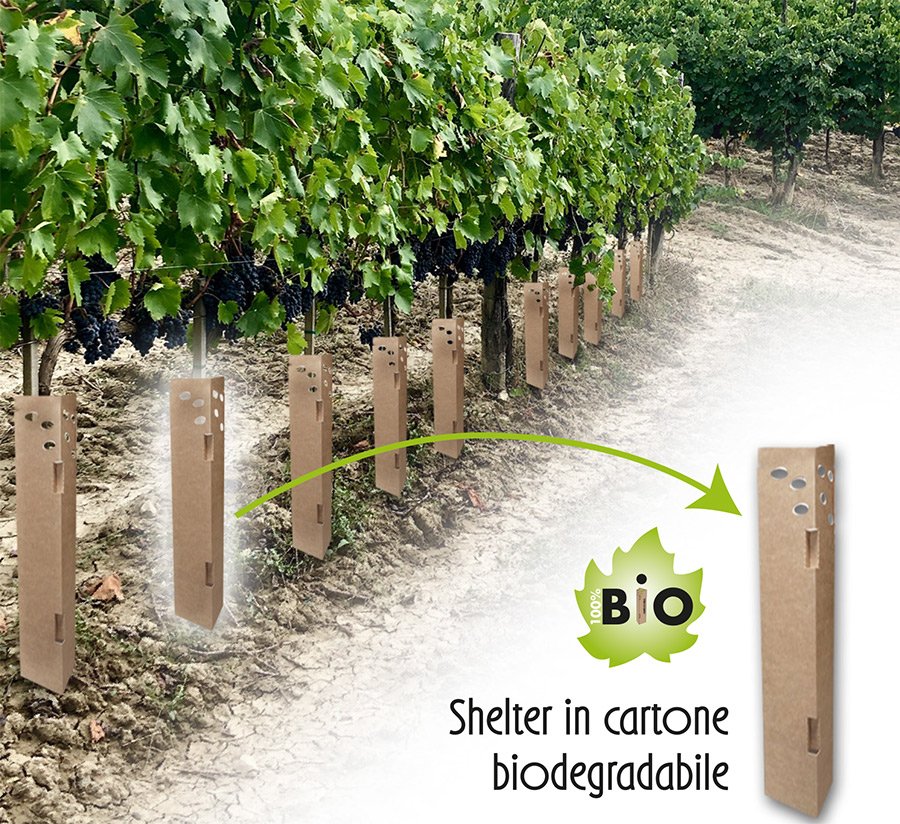 Shelter BIO - Forestry Shelter - Medhea
